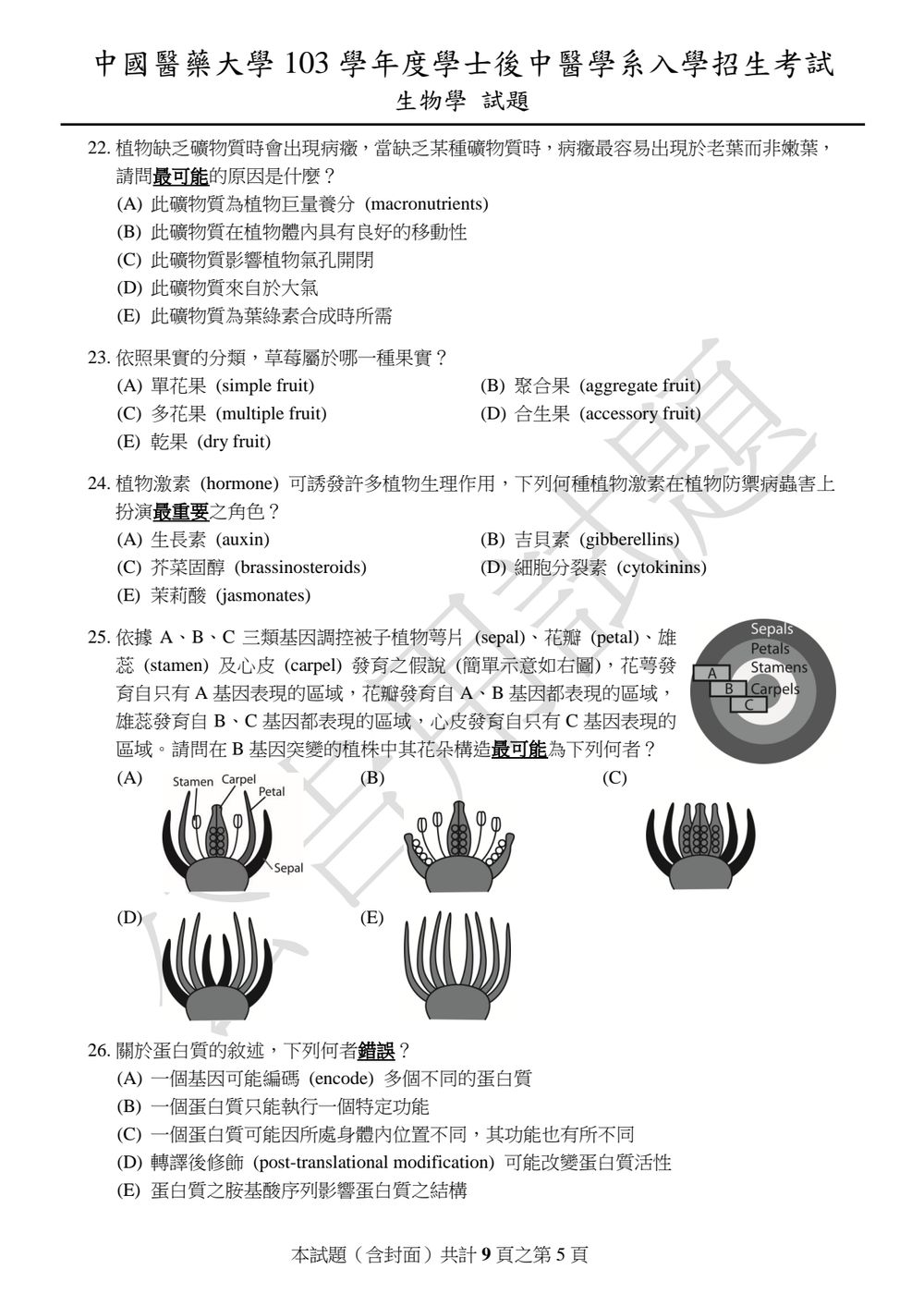 原卷第 5 頁