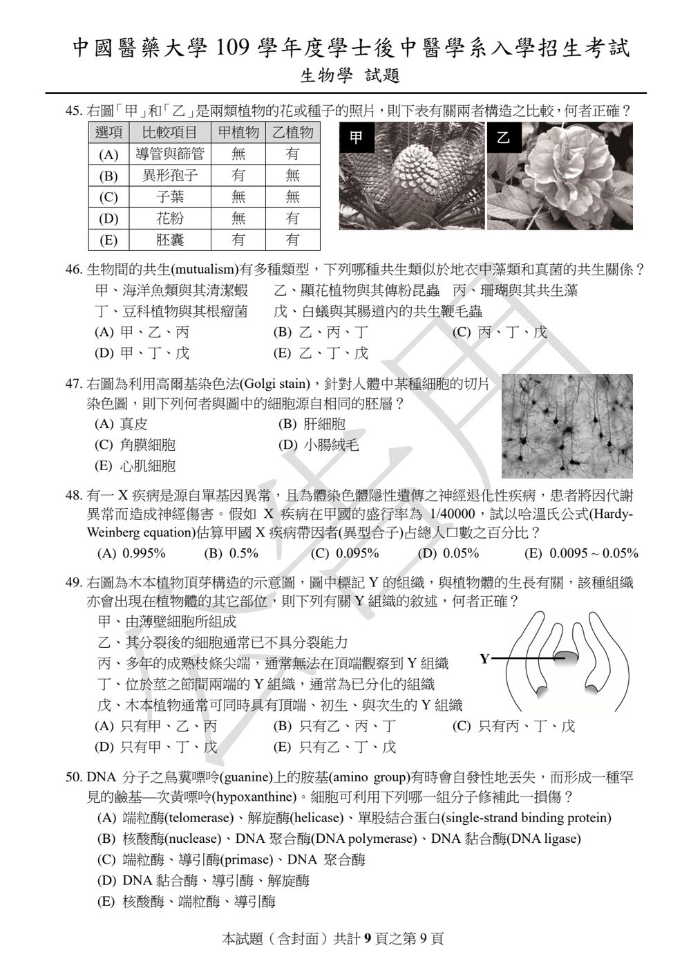原卷第 9 頁